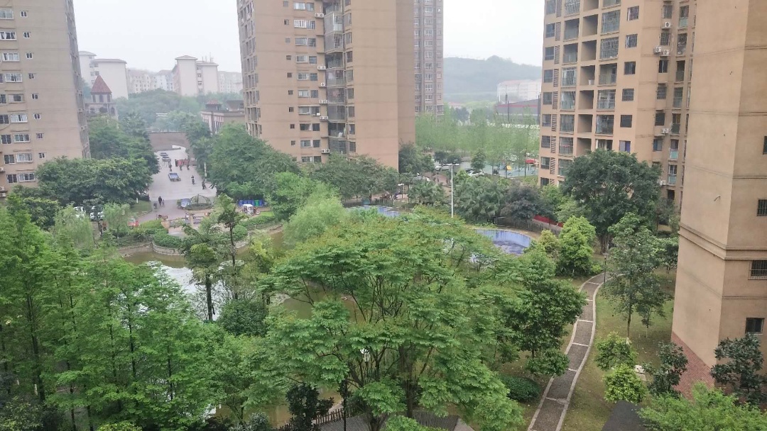 116539_森望滟澜湖_无标签_20260601121445